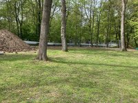 Der Volkspark in Springe ist eine grüne Oase mit altem Baumbestand, die durch die offene Bauweise in großen Teilen zerstört worden wäre.