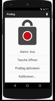 74 Foto 2 COSIMA Preis ProBag Schlosssystem App.jpg
