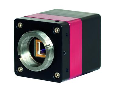 Owl-SW1.7A.jpg