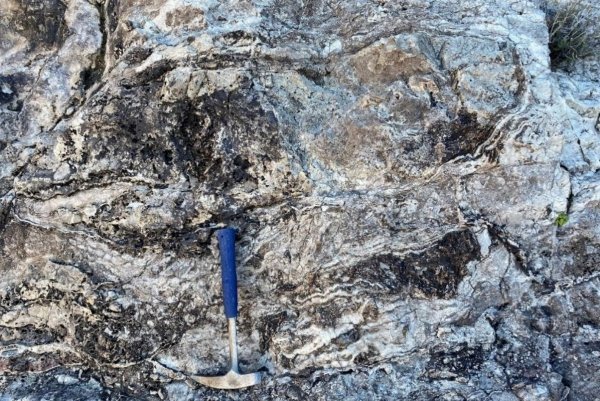 MT - Sub-horizontal vein breccia composed of massive chalcedony vein and veined, silicified frag.jpg