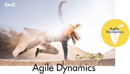 modell_agile-dynamics_2.jpg