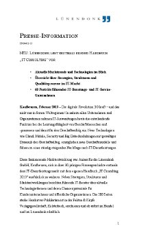 LUE_PI_Handbuch_IT Consulting_f040213.pdf