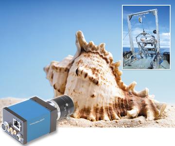 Prosilica GE1380C - GigE Vision in Benthic Imaging