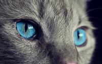 I see you...