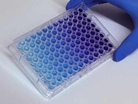 ELISA_High_bind_plate_70.jpg