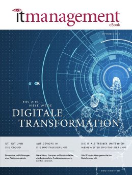 eBook_Digitale-Transformation-Titel-700.jpg
