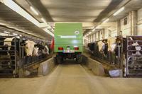 Passt perfekt: Der Multicar TREMO ist nur 1,32 Meter breit und hat damit Idealmaße für das Ausbringen des Futters in die Futtertröge entlang besonders engen Stallboxen.