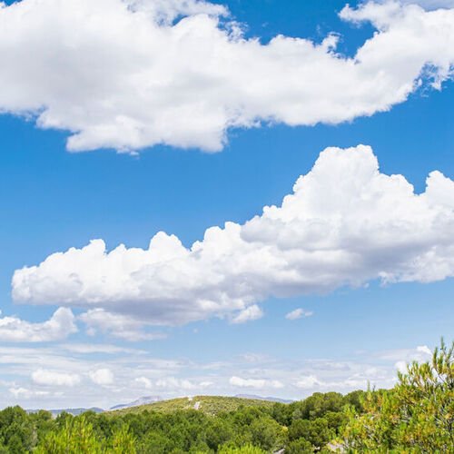 Wie nachhaltig ist die Cloud?