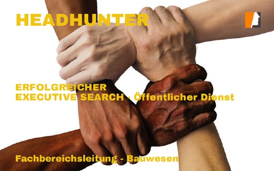 Headhunter_oeffentlicher_Dienst_2024_08.png