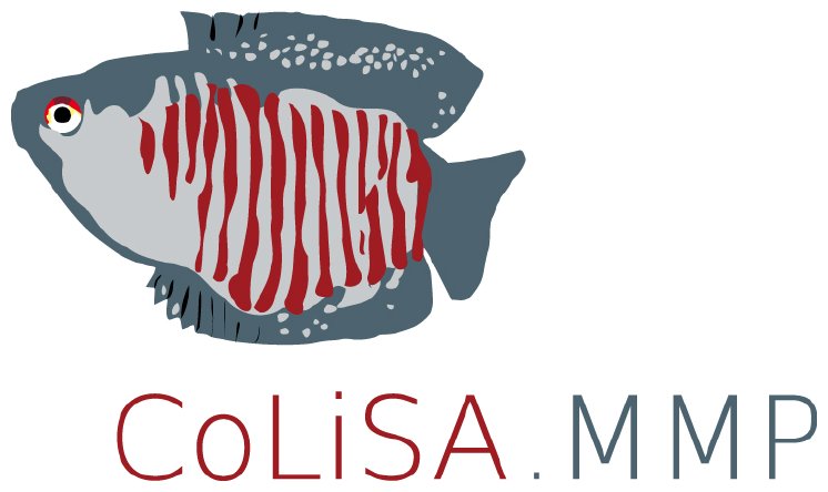 CoLiSA_Press-Image_Logo.jpg