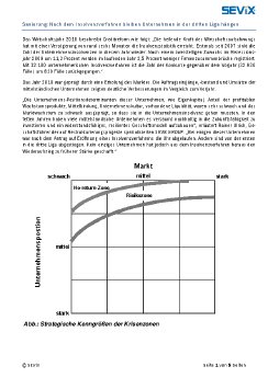 SEViX Group Whitepaper I Sanierung - nach Insolvenzverfahren nur noch dritte Liga I aug2014.pdf