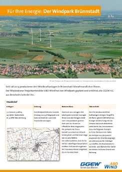 Projektsteckbrief_Bruennstadt.pdf