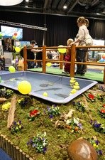 MEF_RJFF25_250330_Ka~sland-Wissel_73.jpg