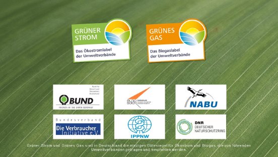 Grüner Strom Gas Träger.jpg