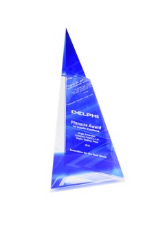 Delphi Pinnacle Award 2016.jpg