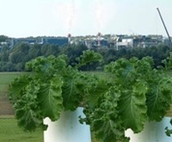 Bild: Biomonitoring-Anlage