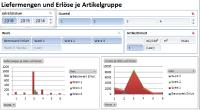 Man erkennt erst auf den zweiten Blick das es sich um excel-basierte Auswertungen handelt. Per Knopfdruck erstellt und mit jedem Aufruf mit aktuellen Daten der WDV2015 und/oder der Fibu und jeder anderen Software bestückt.