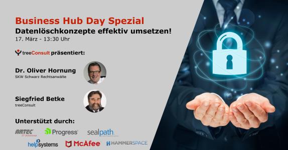Business Hub Day ONLINE Spezial von treeConsult