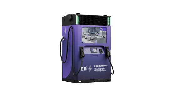 Elli Flexpole.png