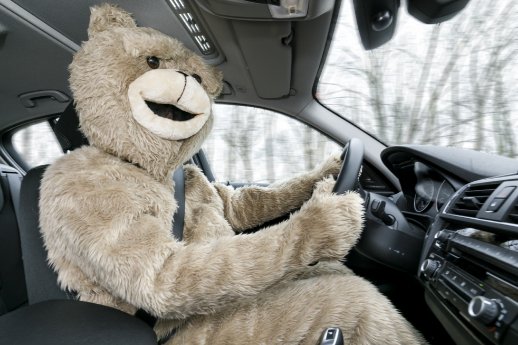 Kostüm am Steuer 3.jpg