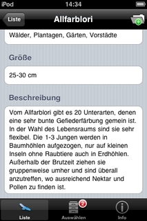 Vögel 6.jpg
