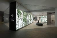 Die Waldzone: Eine zehn Meter lange, doppelseitige LED-Wand visualisiert wechselnde, lebendige Ansichten eines koreanischen Bergwaldes, Copyrights bindend:  D’art Design Seoul Ltd.