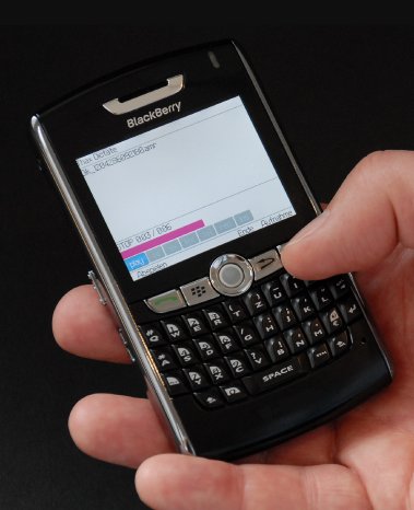 blackberry1750x2150.jpg