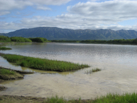 Icy pit in the beautiful surrounding of Kamchatka