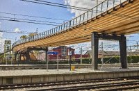 Die Passerelle in Zwolle ist 130 Meter lang und damit eine der längsten Holzbrücken Europas. Sie verbindet das Stadtzentrum mit dem Bahnhofsviertel, ist vielfältig bepflanzt und besitzt den Charakter eines schwebenden Parks. Foto: Gemeente Zwolle