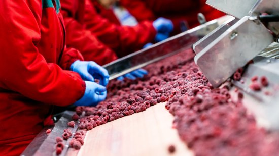 Túnel de congelamiento.png