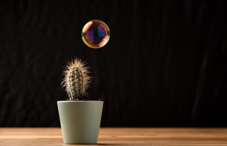 AdobeStock_463649713.jpeg
