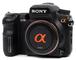 Camera-Domains: Startschuß im Oktober