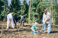 Das Team der BIL eG hat den eigen BIL-Wald gepflanzt.