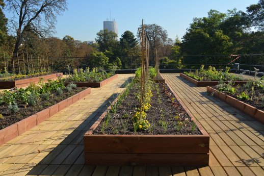 75_PARIS_Pavillon d'armenonville_Jardin potager (128).JPG