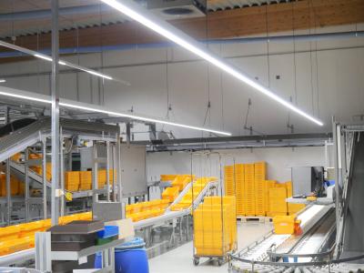 Eine bessere Ausleuchtung der Warenlager mit zugleich weniger Energieaufwand für Beleuchtung und Klimatisierung: Dies bildete den Ausgangspunkt für die Sanierung der Leuchten bei Alliance Healthcare am Standort Osnabrück / Foto: Emslicht
