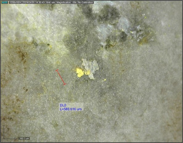 Sitka Gold - Example of visible gold observed in DDRCCC-24-058 at 476_9 m.jpg