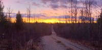 Auf der Liegenschaft der Quesnelle-Gold-Quartz-Mine; Quelle: Golden Cariboo Resources