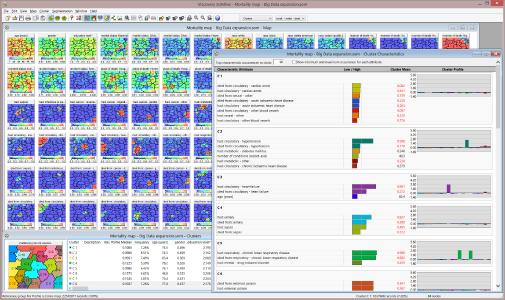 Viscovery Data Mining Suite