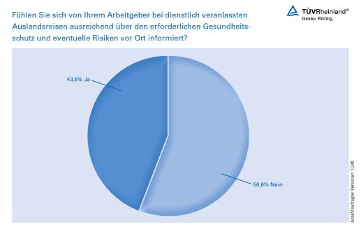 Grafik Auslandsreisen.jpg