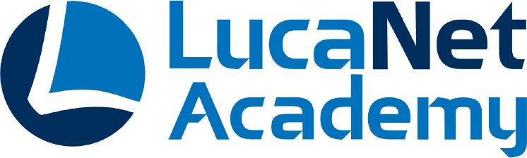 LN Academy Logo.jpg