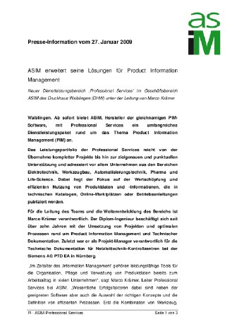 27.01.09 PI Professional Services final.pdf