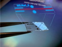Im Glas integrierte Lichtwellenleiter führen das Laserlicht präzise durch das System. Evaneszenz-Koppler ermöglichen dabei eine beliebige Aufteilung des Lichts.