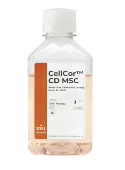 CellCor CD MSC.png