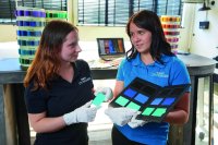 ROWA Masterbatch can supply the trend colors for 2023/2024 now.