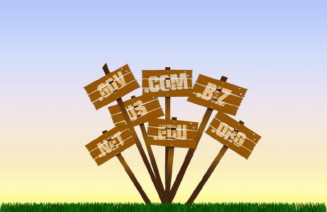 Different domain owners may own the same name at different domain extensions...