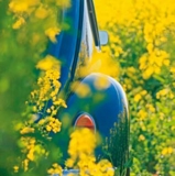 Aktionstag „Klimafreundlich Autofahren“ am 21.9.