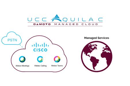 Gemanagter Dienst UCC Aquila C
