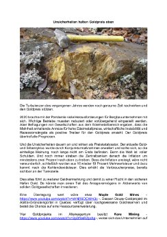 08.01.2021 Unsicherheiten halten Goldpreis oben.pdf