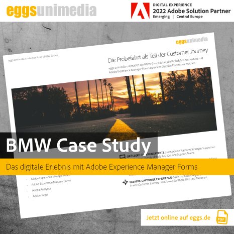 BMW_CaseStudy_I.jpg