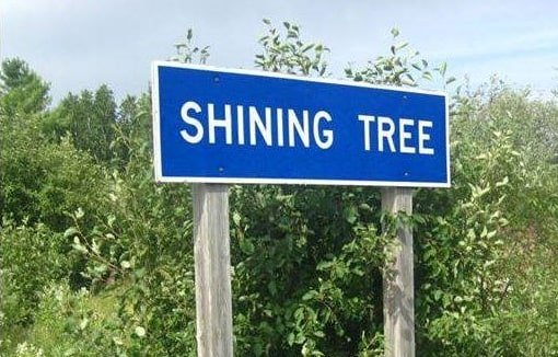 PTX - Shining Tree_klein-min.jpg